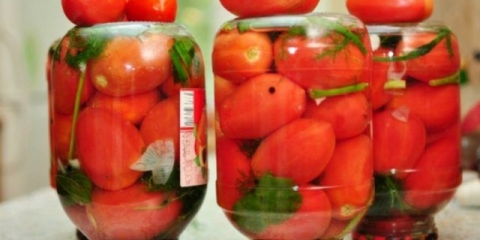 Kako posoliti paradajz u teglama za zimu